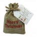 Reindeer Food in a Merry Christmas Gift Bag